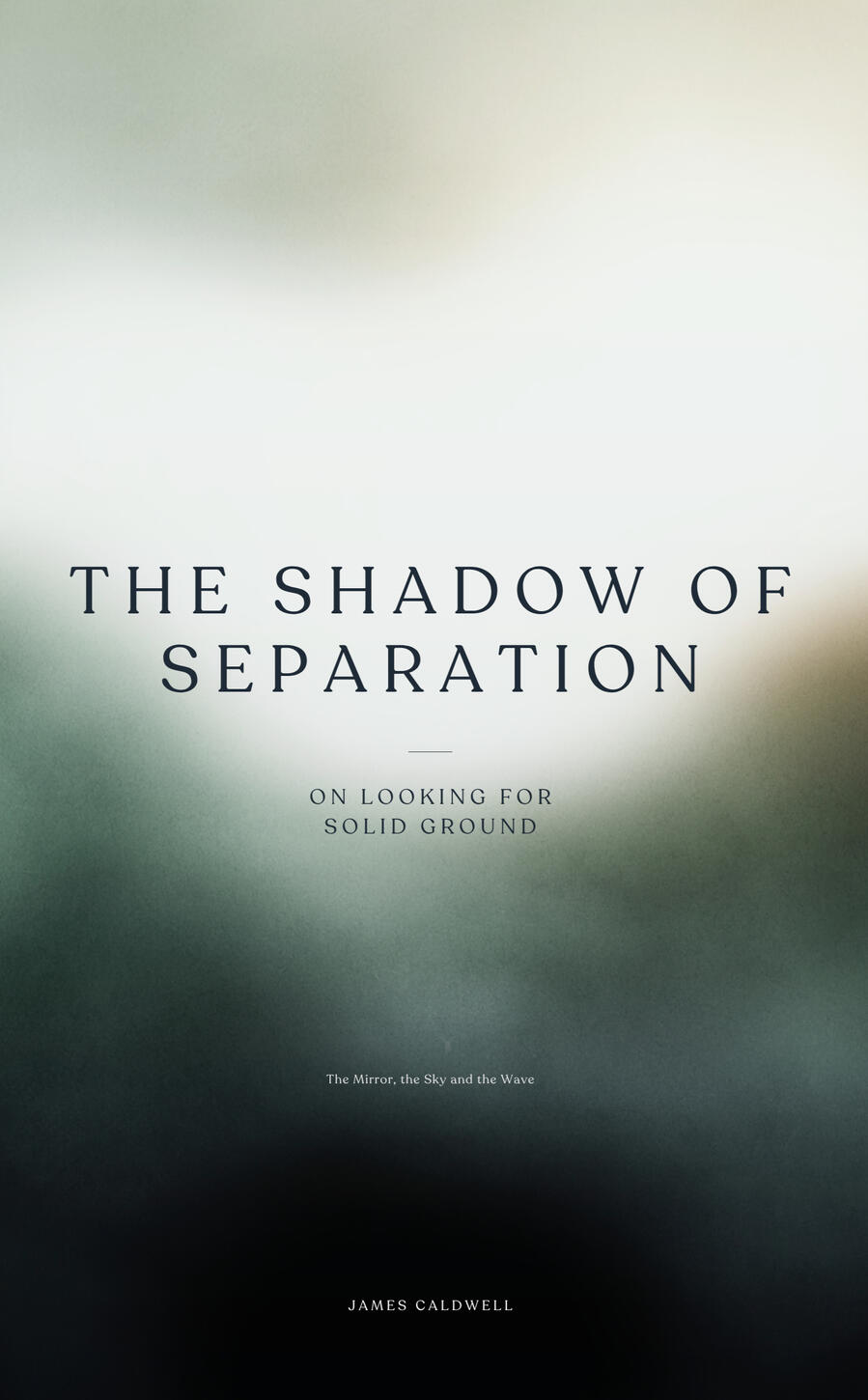 The Shadow of Joy The Shadow of Joy cover pic