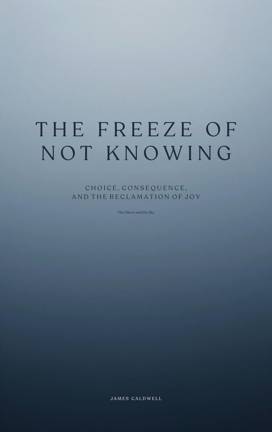 The Freeze of Not Knowing cover pic
