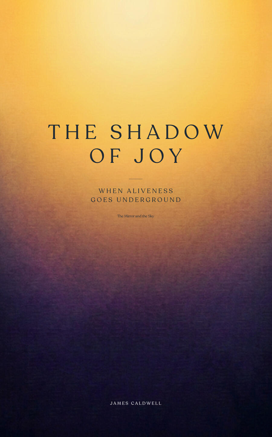 The Shadow of Joy cover pic