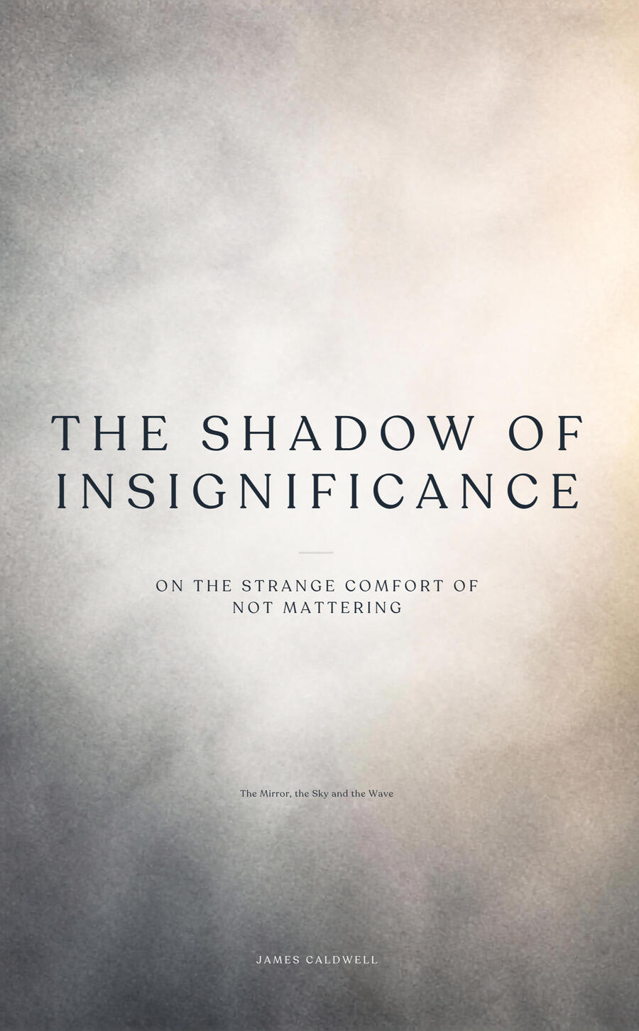 The Shadow of Joy cover pic